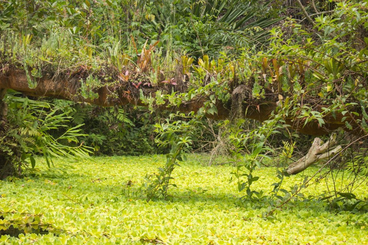 Pousada Flor De Acucena Igatu Bagian luar foto